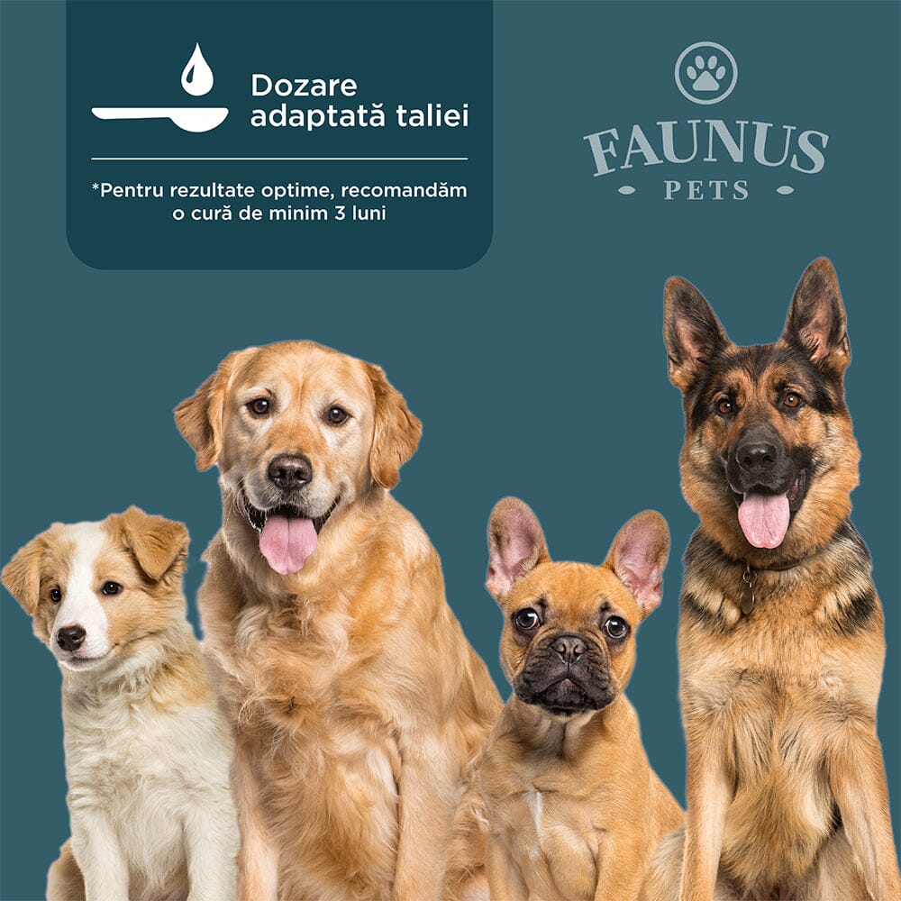 Patru câini de talii și rase diferite, având afișat deasupra logo-ul Faunus Pets, simbolul unei lingurițe și informații privind dozarea adaptată taliei.