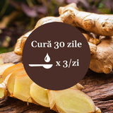 Ghimbir - Sirop. Flacon 200ml. Tonic general, ajută la eliminarea toxinelor Sirop Faunus Plant 