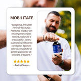 Colagenus Articulații Forte - Colagen lichid concentrat, 12.000mg colagen tip 1 și 40mg colagen tip 2. Flacon 500ml. Susține sănătatea articulațiilor, reducerea inflamațiilor și durerii reumatice, refacerea mușchilor și ligamentelor Supliment alimentar Faunus Plant 