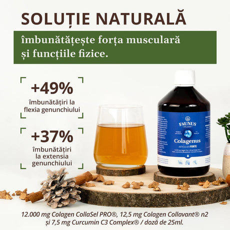 Colagenus Articulații Forte - Colagen lichid concentrat, 12.000mg colagen tip 1 și 3, 12,5mg colagen tip 2. Flacon 500ml. Susține sănătatea articulațiilor, reducerea inflamațiilor și durerii reumatice, refacerea mușchilor și ligamentelor Supliment alimentar Faunus Plant 