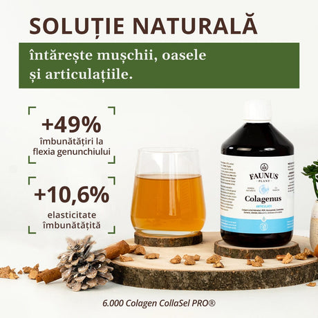 Colagenus Articulații - Colagen lichid. Flacon 500ml. Susține sănătatea articulațiilor, mușchilor și ligamentelor. Reduce durerile reumatice Supliment alimentar Faunus Plant 