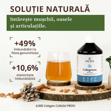 Colagenus Articulații - Colagen lichid. Flacon 500ml. Contribuie la sănătatea articulațiilor, mușchilor și ligamentelor Supliment alimentar Faunus Plant 