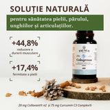 Colagenus Capsule - Colagen concentrat tip II, acid hialuronic și plante medicinale. Dureri articulare, rezistență articulații, flexibilitate - 60 Capsule Supliment alimentar Faunus Plant 