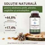 Colagenus Capsule - Colagen concentrat tip II, acid hialuronic și plante medicinale. Dureri articulare, rezistență articulații, flexibilitate - 60 Capsule Supliment alimentar Faunus Plant 