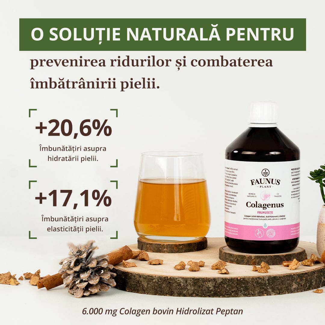 Colagenus Frumusețe - Colagen lichid hidrolizat cu acid hialuronic și biotină. Flacon 500ml. Susține sănătatea și frumusețea pielii, unghiilor și părului. Reduce ridurile și căderea părului. Întărește unghiile Supliment alimentar Faunus Plant 