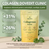 Colagenus Pudră - Colagen hidrolizat concentrat. 10.000 mg tip 1 și tip 3 cu vitamina C. Susține sănătatea articulațiilor, pielii și oaselor. Pudră 303g Supliment alimentar Faunus Plant 