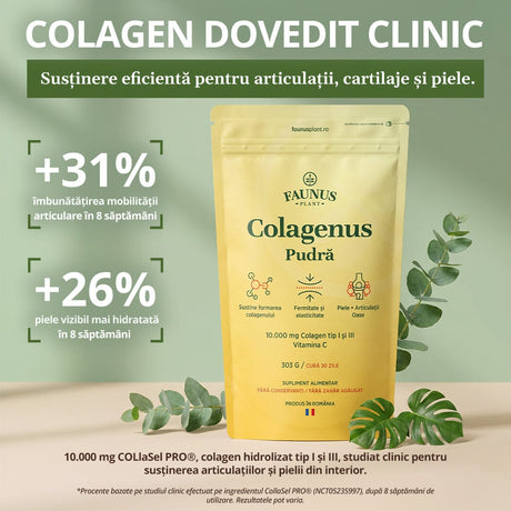 Colagenus Pudră - Colagen hidrolizat concentrat. 10.000 mg tip 1 și tip 3 cu vitamina C. Susține sănătatea articulațiilor, pielii și oaselor. Pudră 303g Supliment alimentar Faunus Plant 
