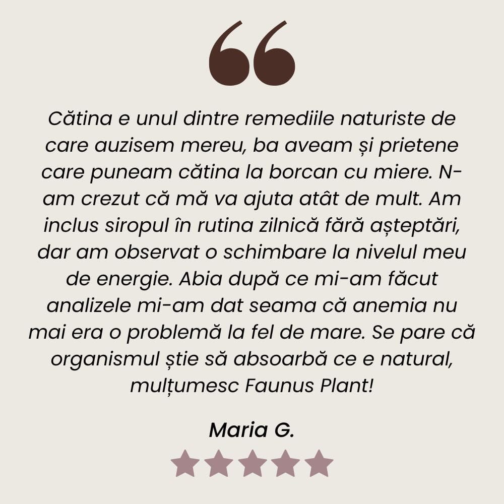 Cătină - Sirop. Flacon 200ml. Efect vitaminizant, tonic, recomandat pentru anemii și imunitate scăzută Sirop Faunus Plant 