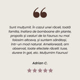 Propolis - Tinctură. Sticlă 20ml. Extract hidroalcoolic concentrat din propolis pentru uz intern și extern cu efect antiinflamator, analgezic și cicatrizant Tinctura Simpla Faunus Plant 