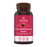 Vitaminizantus Forte - Capsule cu multivitamine și minerale de calitate. Echilibru, energie și vitalitate pentru o viață activă și solicitantă. Flacon 90 capsule Supliment alimentar Faunus Plant 