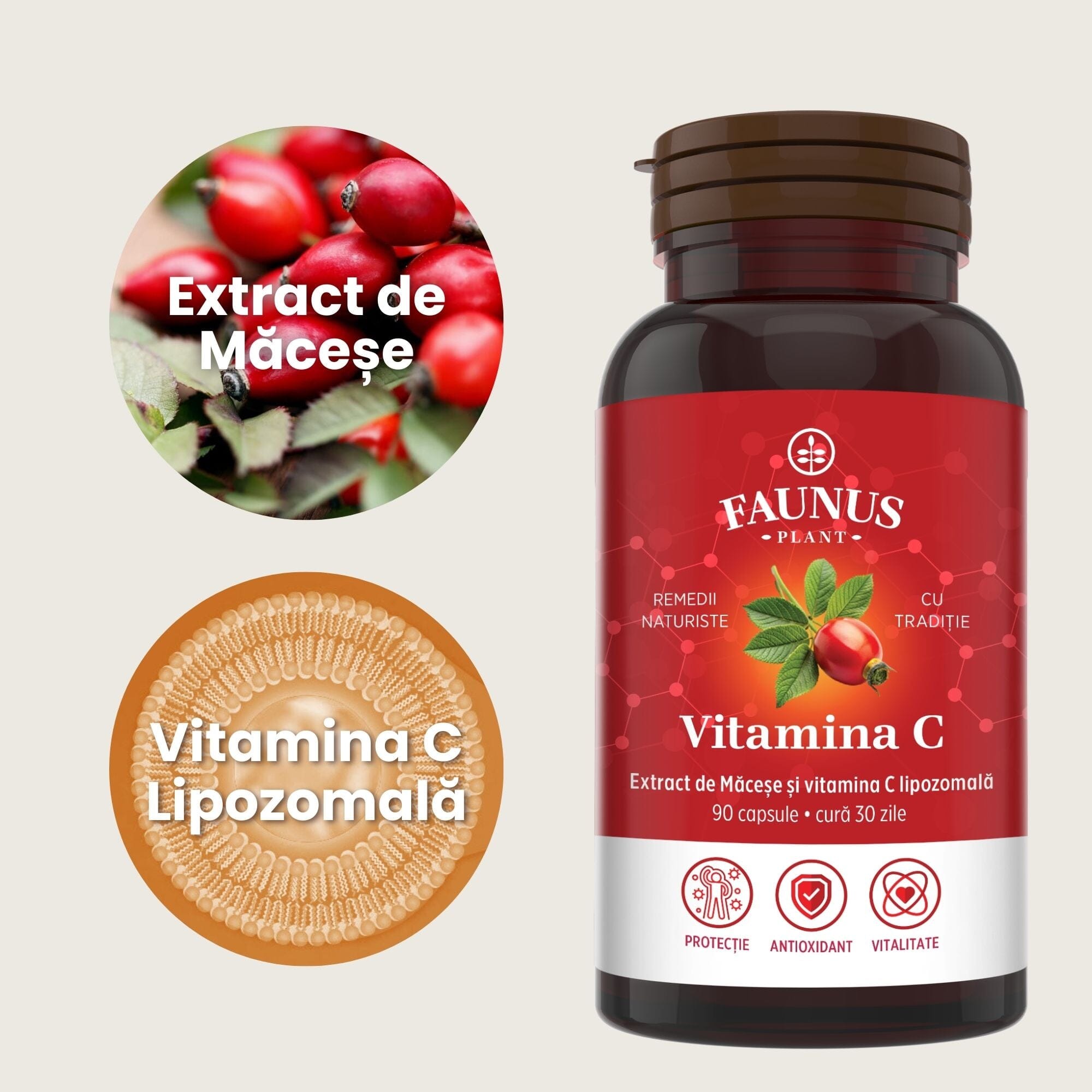 Vitamina C Lipozomală - Concentrație mare de vitamina C pentru imunitate, creșterea rezistenței și capacității de autoapărare a organismului - 90 Capsule Supliment alimentar Faunus Plant 