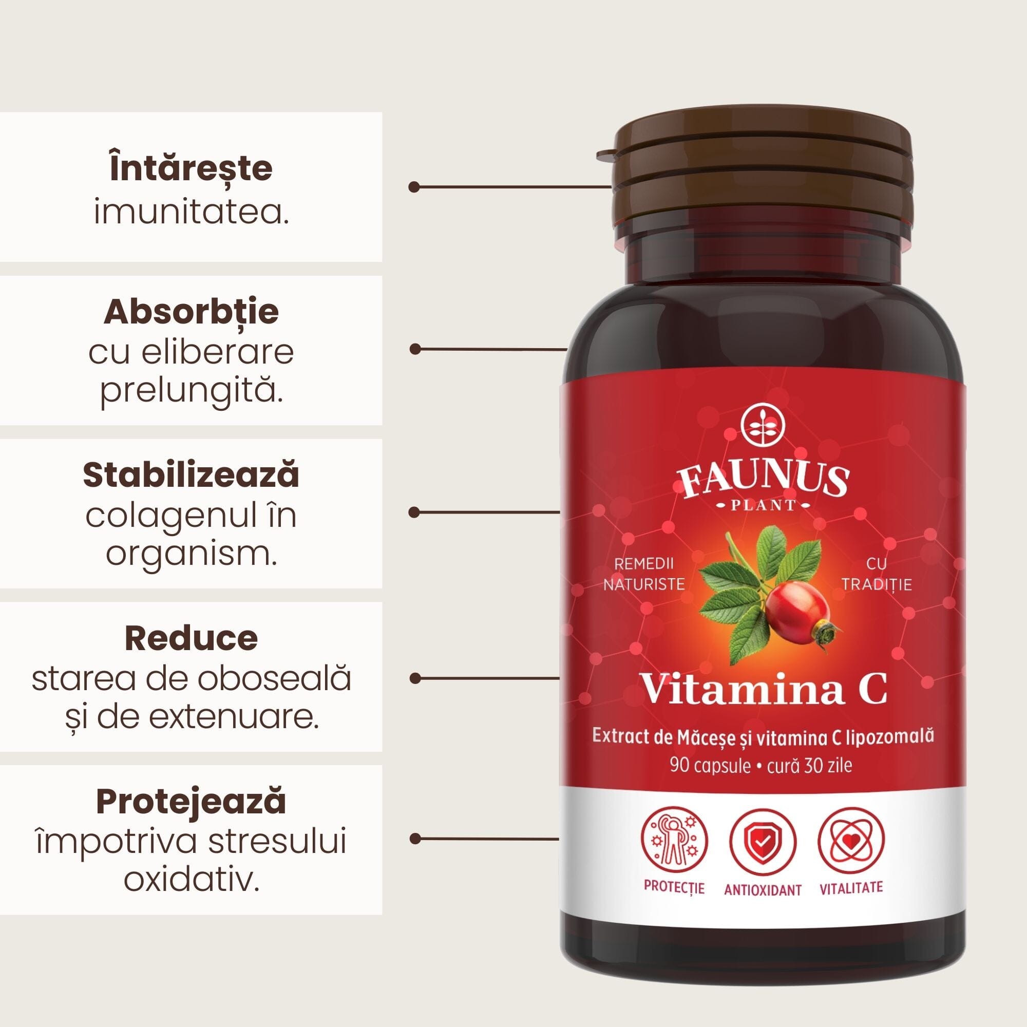 Vitamina C Lipozomală - Concentrație mare de vitamina C pentru imunitate, creșterea rezistenței și capacității de autoapărare a organismului - 90 Capsule Supliment alimentar Faunus Plant 