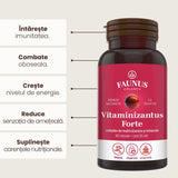 Vitaminizantus Forte - Capsule cu multivitamine și minerale de calitate. Echilibru, energie și vitalitate pentru o viață activă și solicitantă. Flacon 90 capsule Tinctura Compusa Faunus Plant 