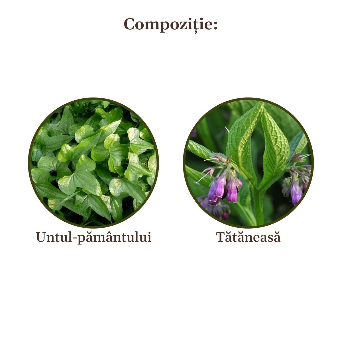 Lotiune Reumaticus 200ml Cosmetics Faunus Plant Ro 