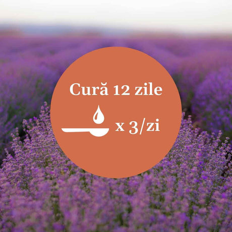 Imagine tip medalion cu o femeie relaxată, având în centru un element grafic circular în care scrie cură 14 zile, simbolul unei lingurițe și alături de 3 ori pe zi