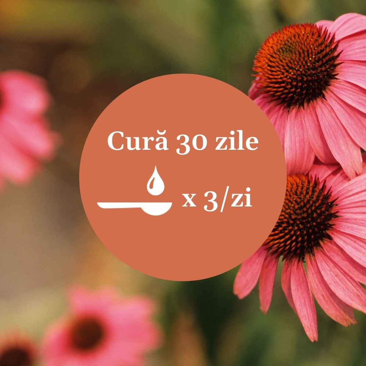 Sirop Echinacea 500ml Cosmetics Faunus Plant Ro 