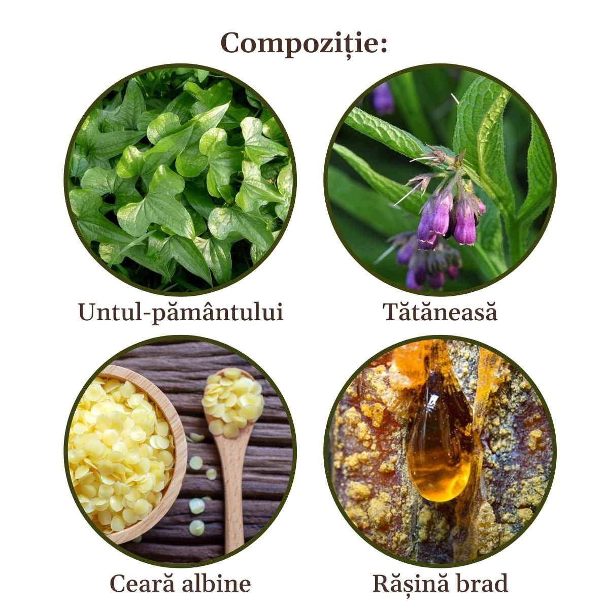 Unguent Reumaticus 50ml Cosmetics Faunus Plant Ro 